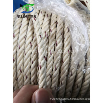 Cheap PP Mono/Polypropylene/Plastic/Fishing/Marine/Mooring/Twist/Twisted Beige Danline Rope for Myanmar